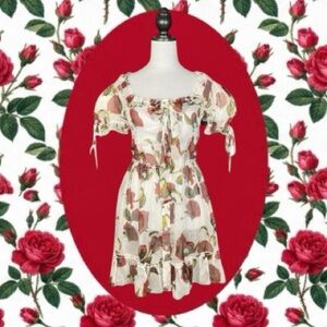 Dolls Kill Sugar Thrillz NWT White Red Rose Sheer Chiffon Babydoll Mini Dress M